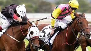 Outback Joe wins the Adelaide Cup 2014
